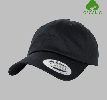 Flexfit - Dad Cap OC - Adjustable