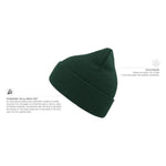 Atlantis Eko Beanie Pine Green Grøn AT799