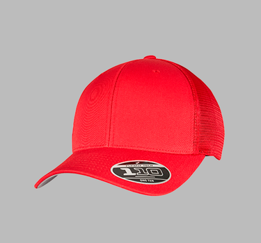 Flexfit - Baseball 110 Mesh - Snapback