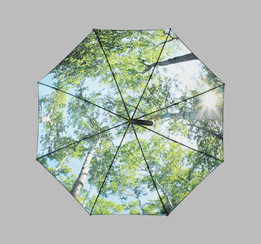 Fare - AC-Umbrella FARE® Impressions - Paraply - Med Eget Logo - 1193