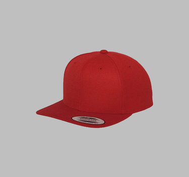 Flexfit - Snapback