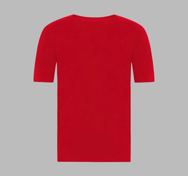 Blank - Lady Comfort Work Tee - T-shirt Med Eget Logo